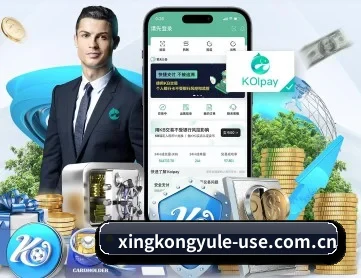 星空娱乐 APP 深度功能