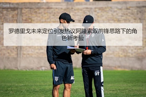 罗德里戈未来定位引发热议阿隆索双前锋思路下的角色新考验